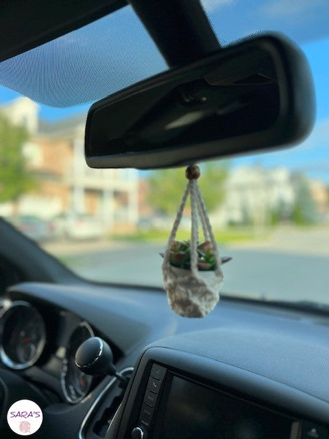 mini plant hanger, car rear mirror charm and cup holder coasters set